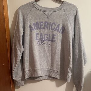 American Eagle Outfitters Gray and Purple Crew Neck Sweater